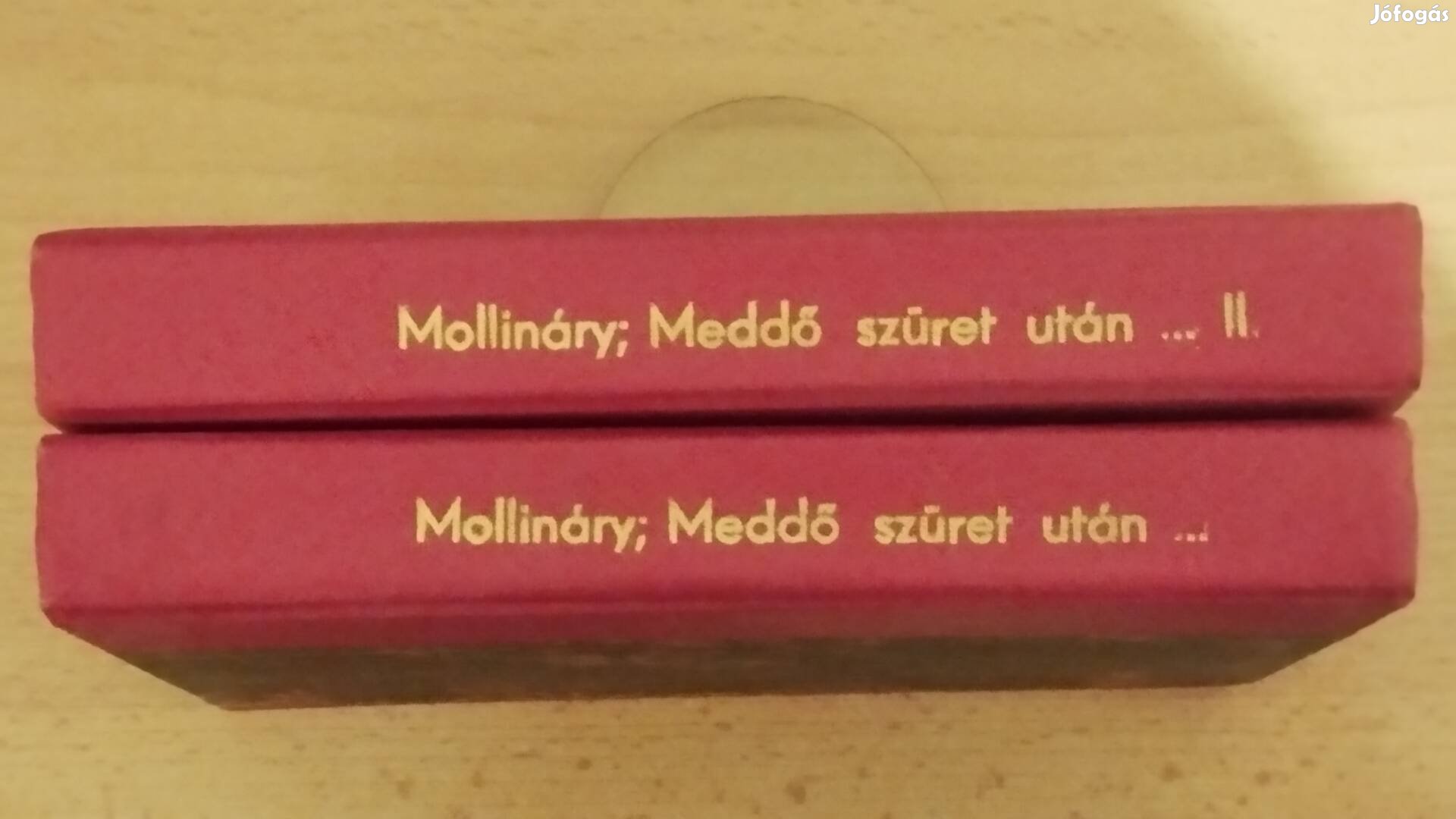 Mollináry Gizella : Meddő szüret után I -II. 