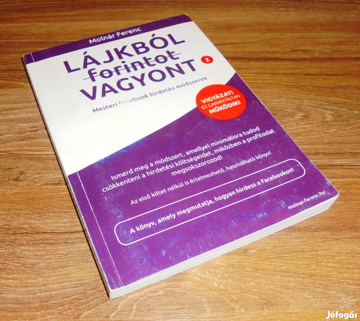 Molnár Ferenc Lájkból (forintot) vagyont 2