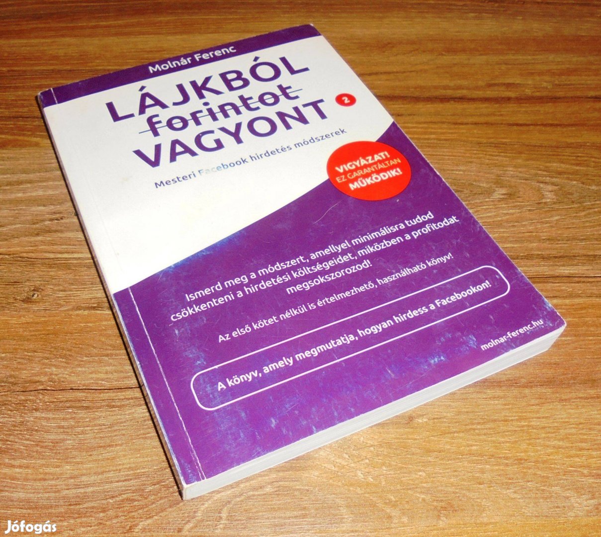 Molnár Ferenc Lájkból (forintot) vagyont 2
