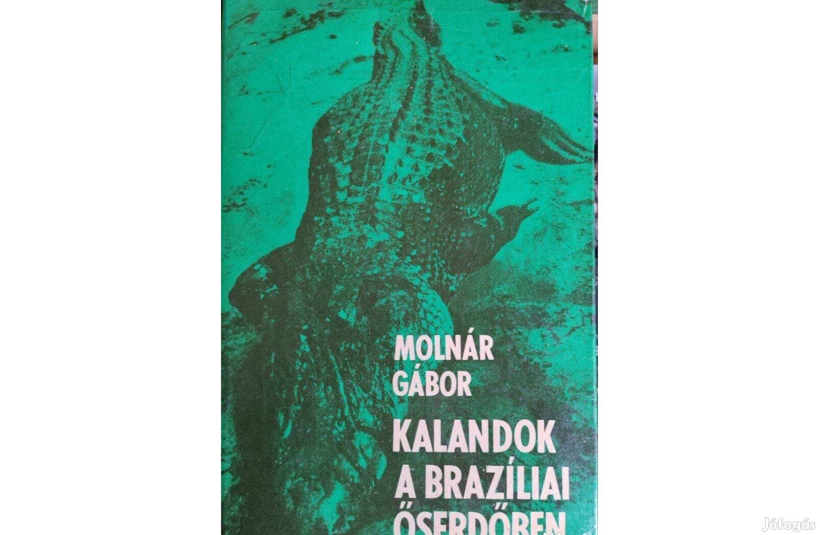 Molnár Gábor Kalandok a braziliai őserdőben