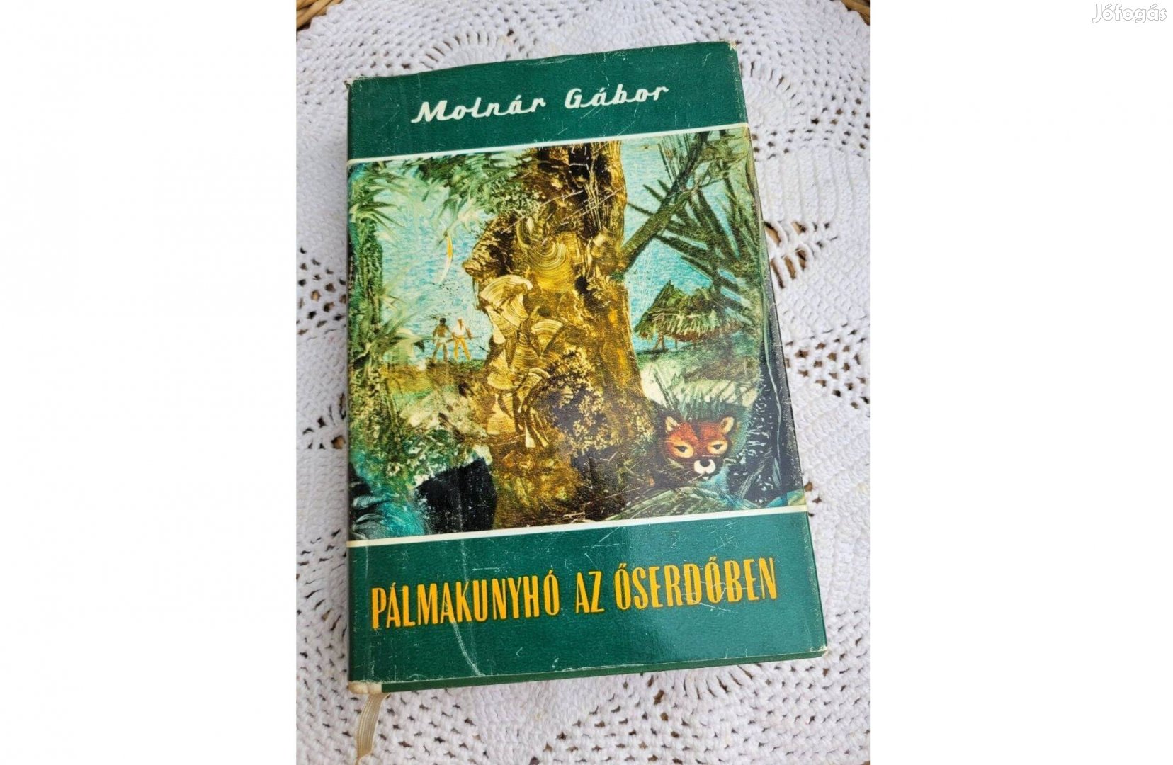 Molnár Gábor Pálmakunyhó az őserdőben