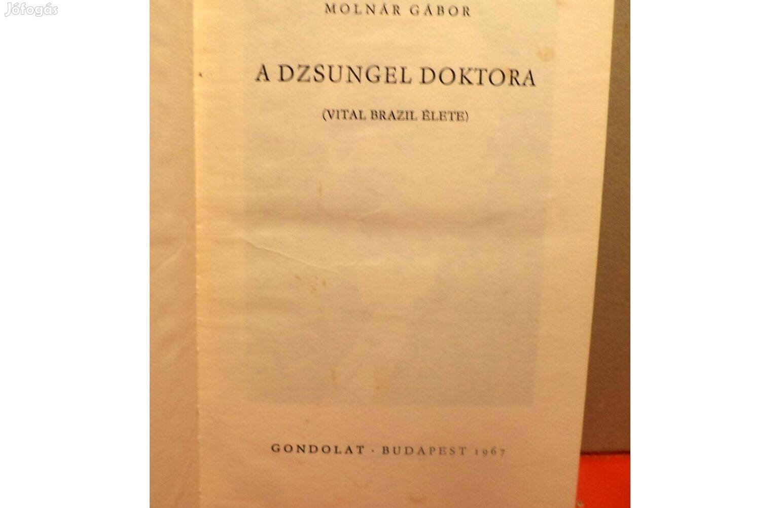 Molnár Gábor: A dzsungel doktora