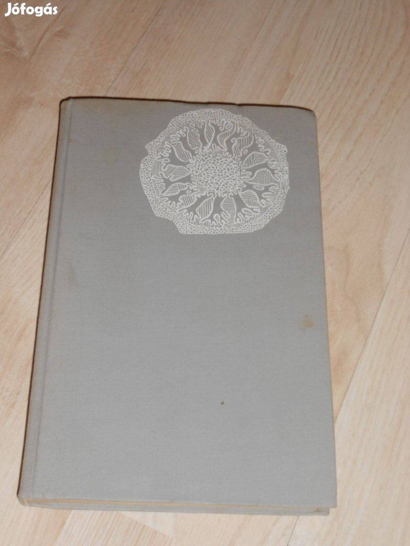 Molnár Gábor Éjbe zuhant évek 7674