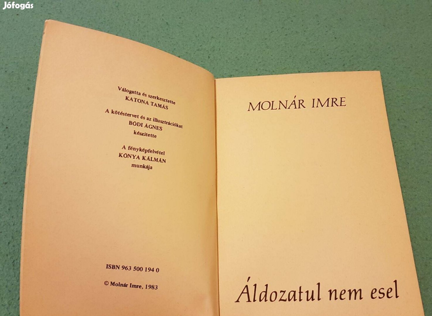 Molnár Imre - Áldozatul nem esel könyv