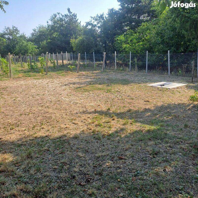 Monor Strázsa hegyen, 3147 m2 zártkerti telek fúrt kút,