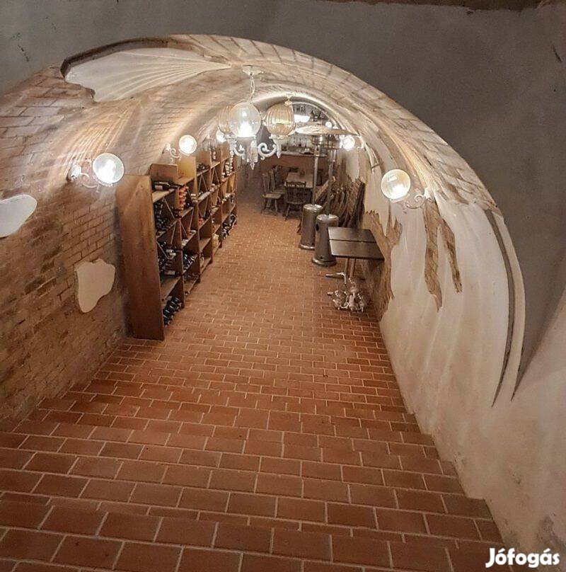 Monor Strázsa-hegyen boros pince vendéglátó egységgel, 8200 m2 telek