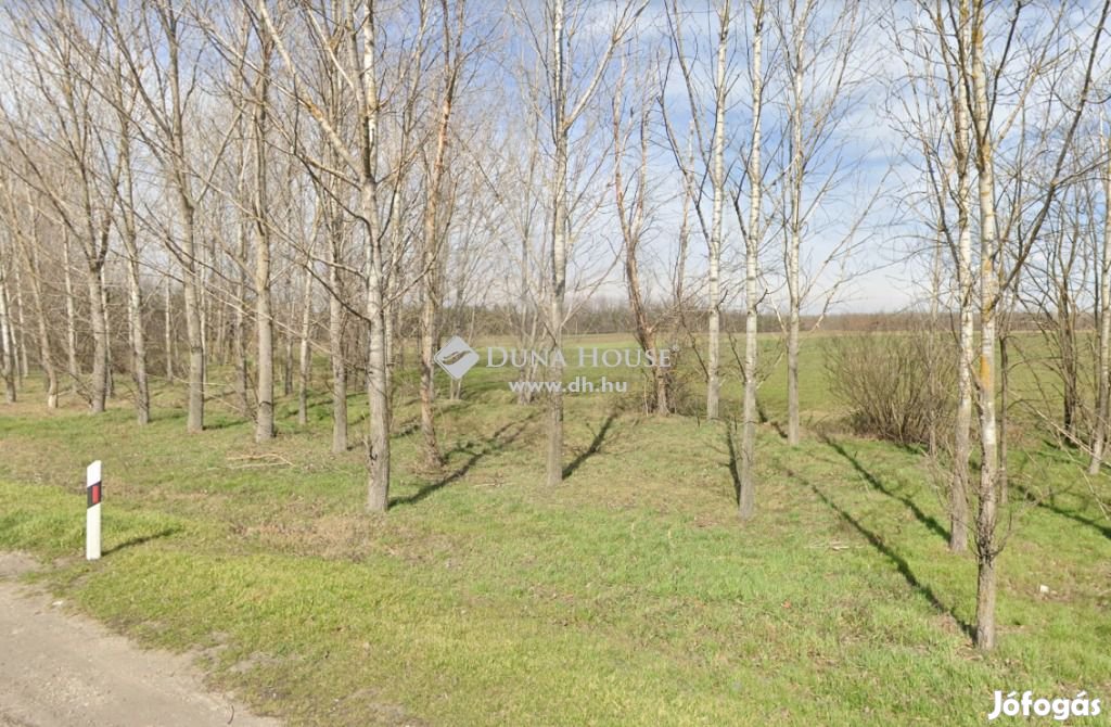 Monori eladó 17555 nm-es telek