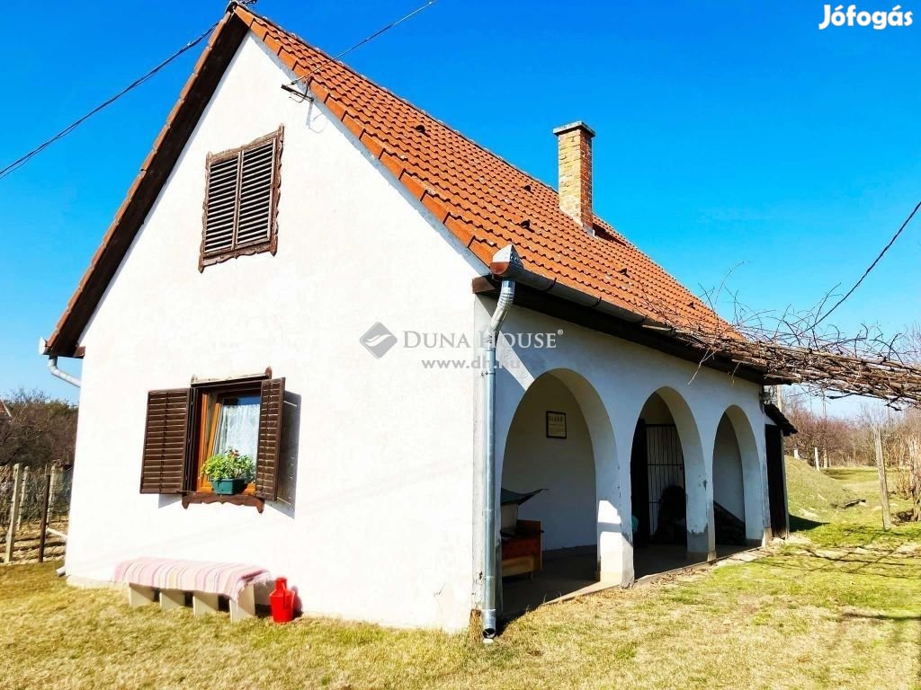 Monori eladó 43 nm-es szőlős