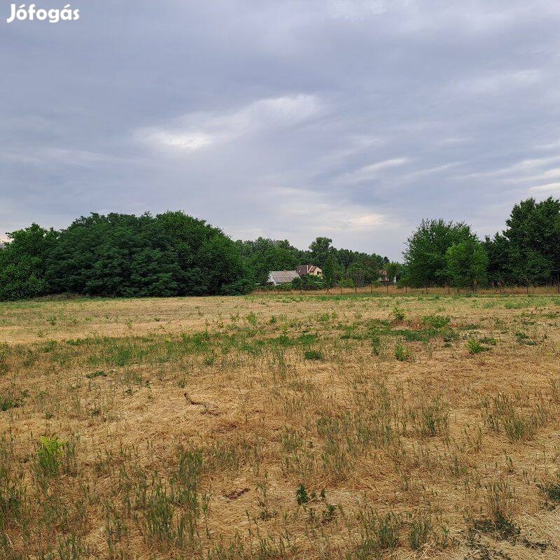 Monorierdő kertvárosában, 2350 m2-es építési telek