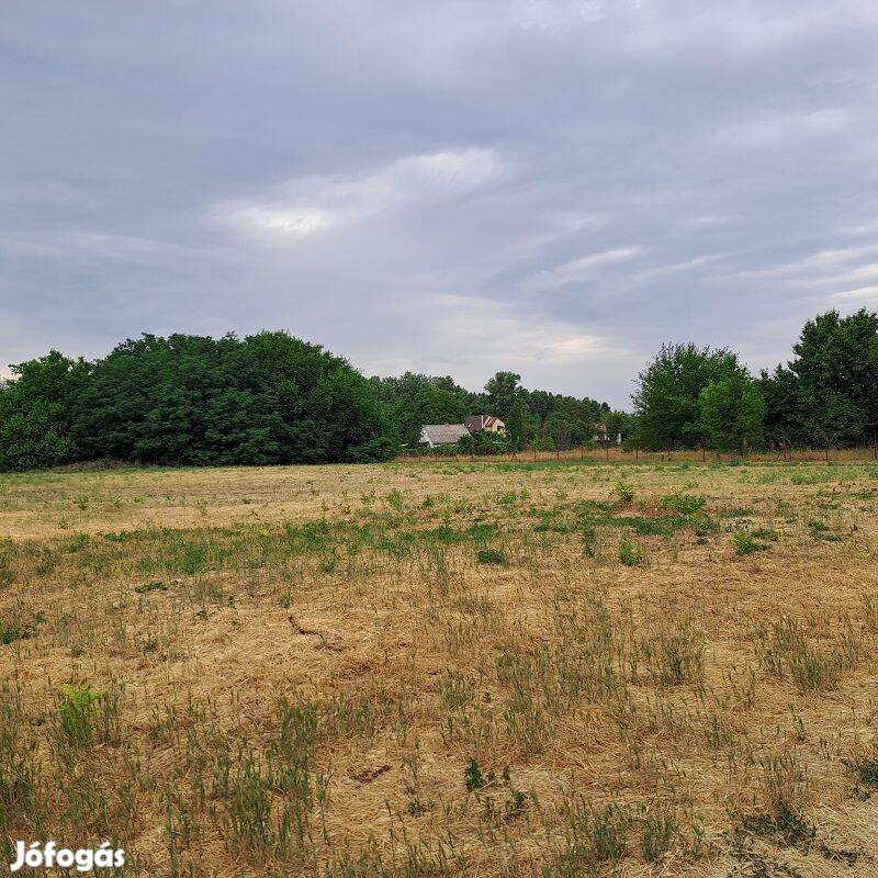 Monorierdő kertvárosában, 5500 m2-es építési telek