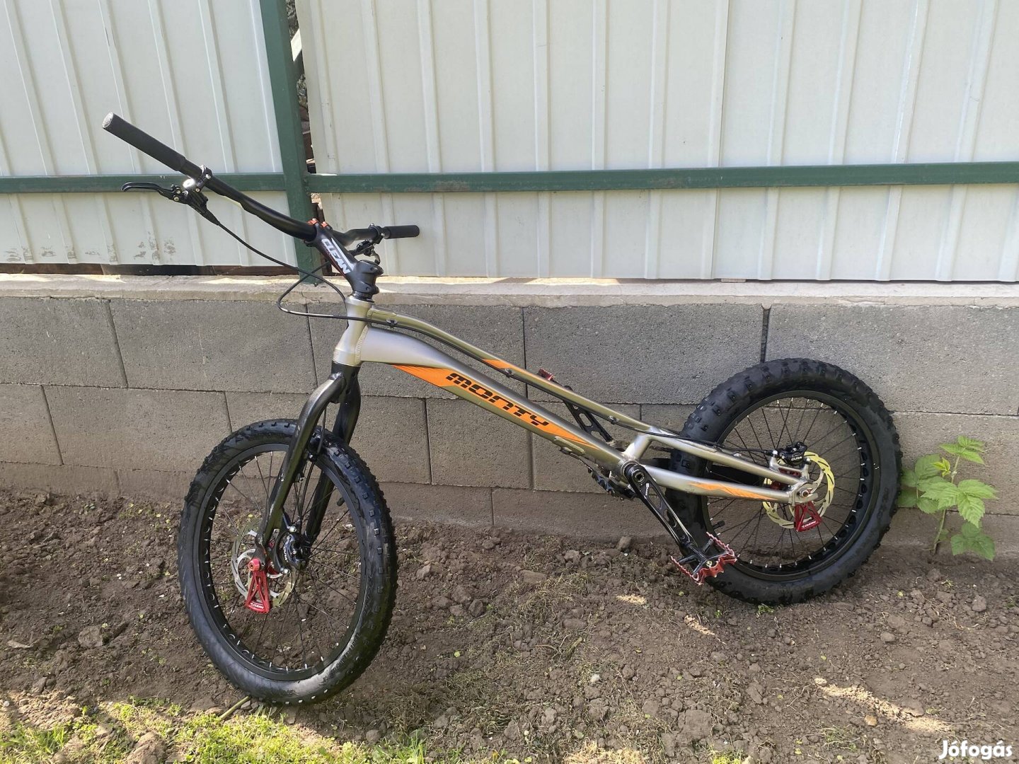 Monty Kaizen 20
