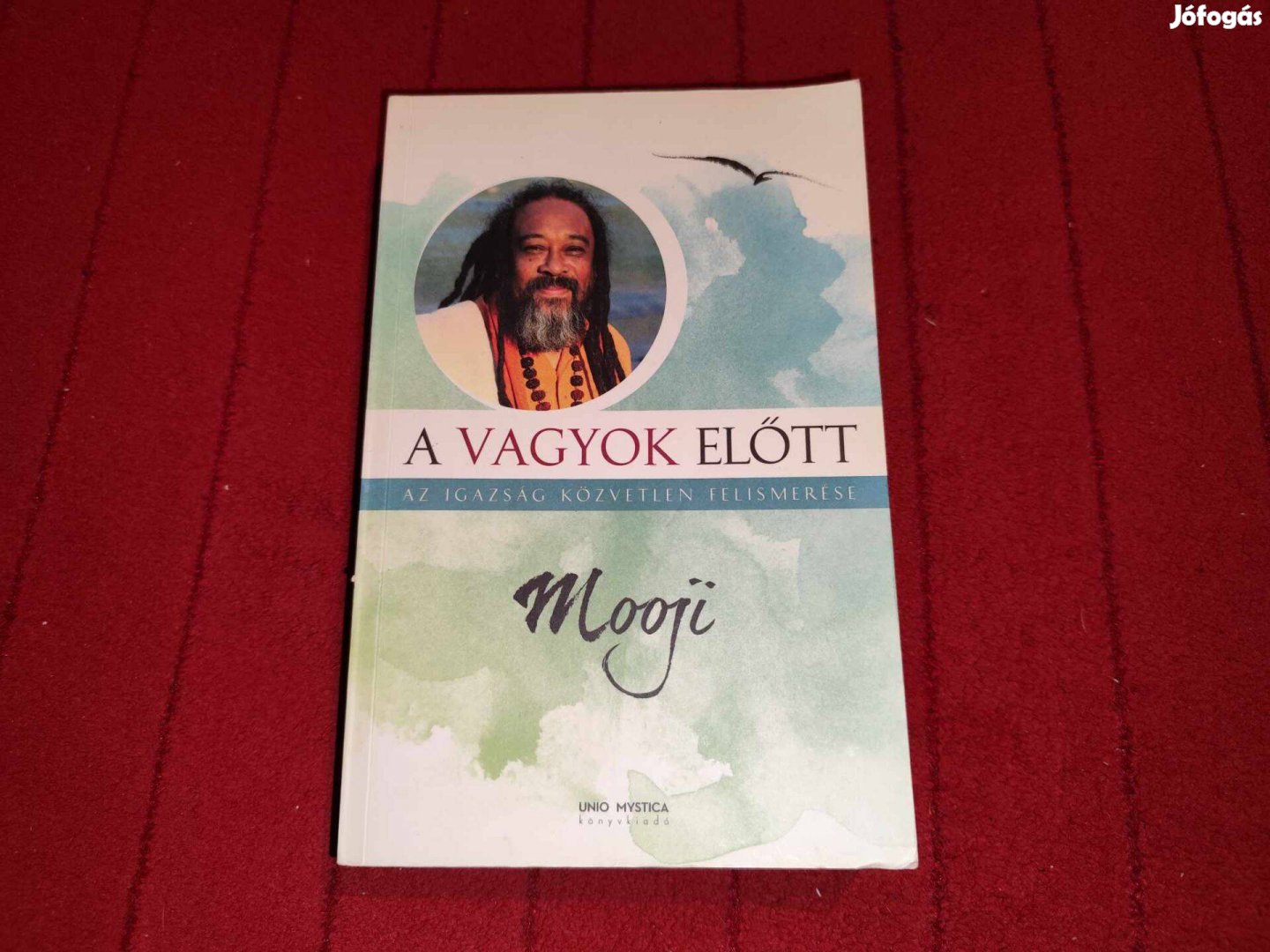 Mooji: A vagyok előtt