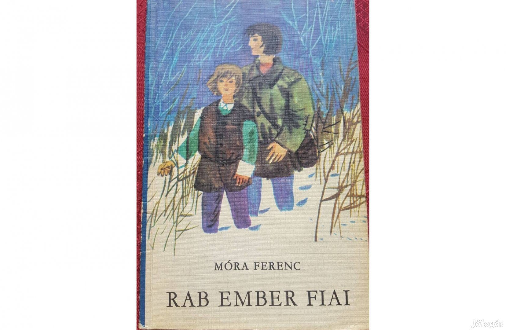 Móra Ferenc: Rab ember fiai