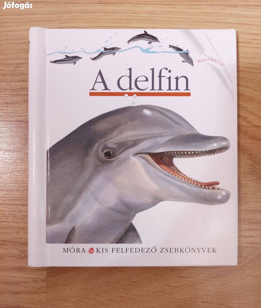 Móra Kis felfedező zsebkönyvek: A delfin gyerek könyv