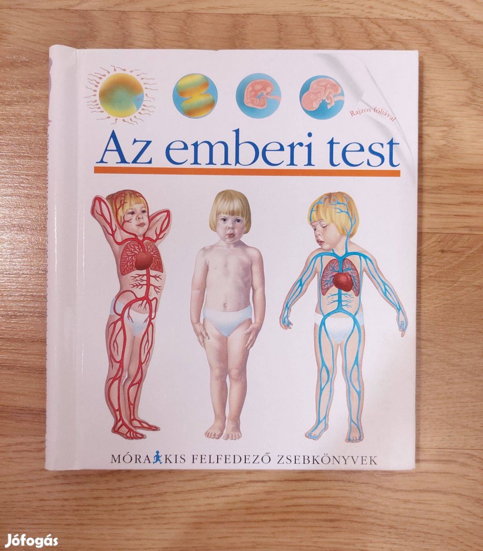 Móra Kis felfedező zsebkönyvek: Az emberi test gyerek könyv