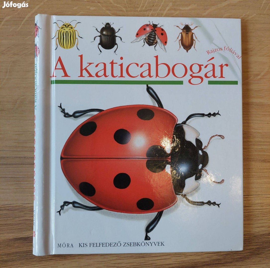 Móra kis felfedező zsebkönyvek - A katicabogár gyerek könyv