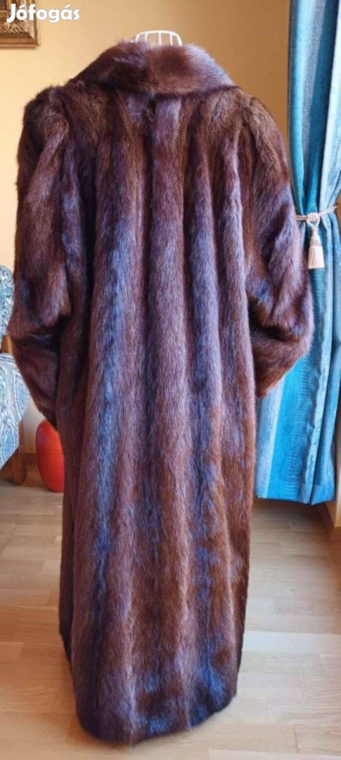 Mormota bunda Hollandiából