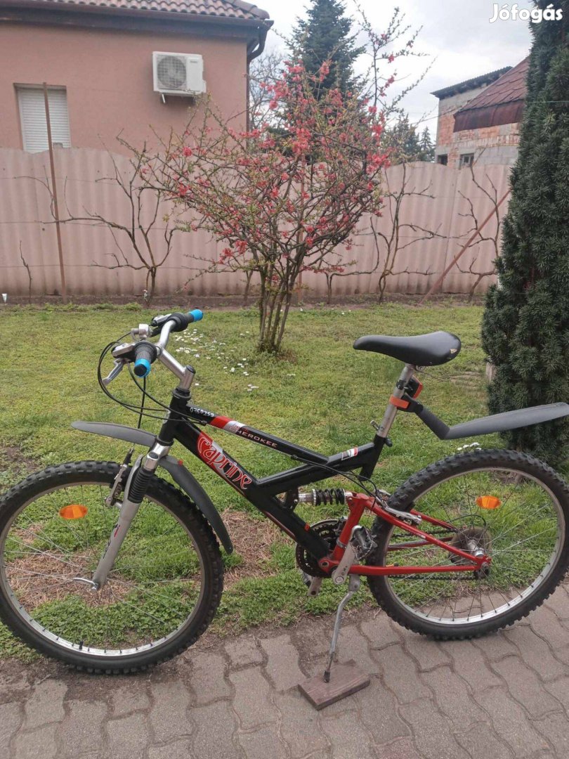 Mountain bike