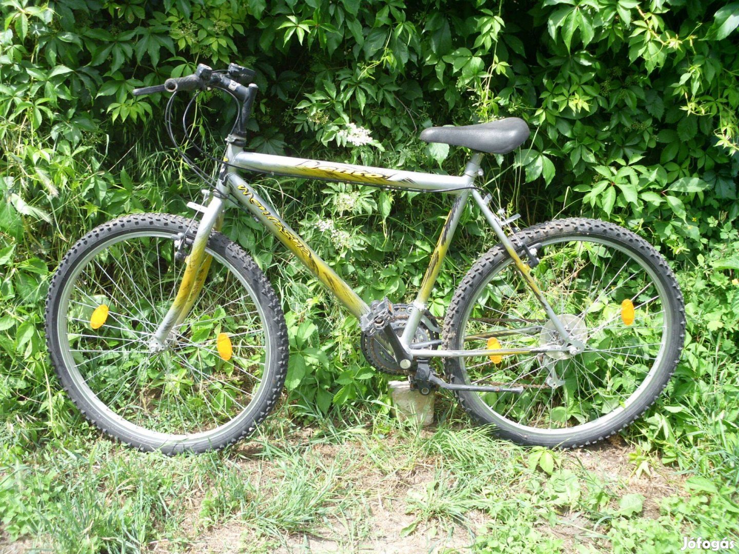 Mountain bike