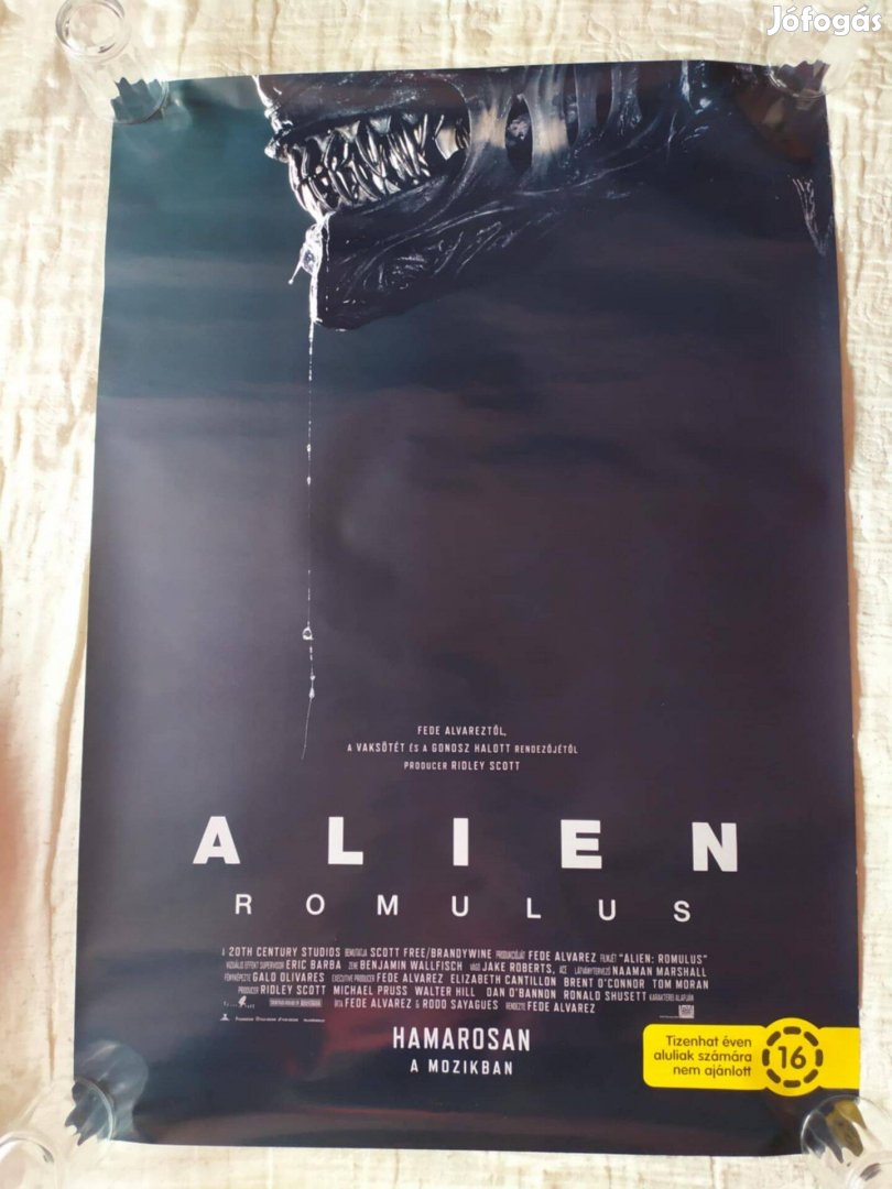 Mozis plakát Alien Romulus 98x68 cm magyar (fekete)