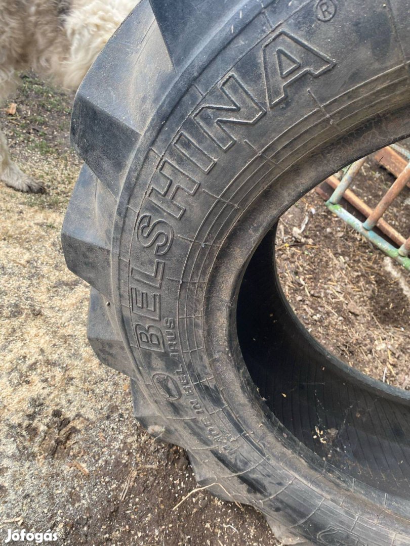 Mtz82hez elsőhajtáshoz fogas-kerék és gumiköpeny eladó