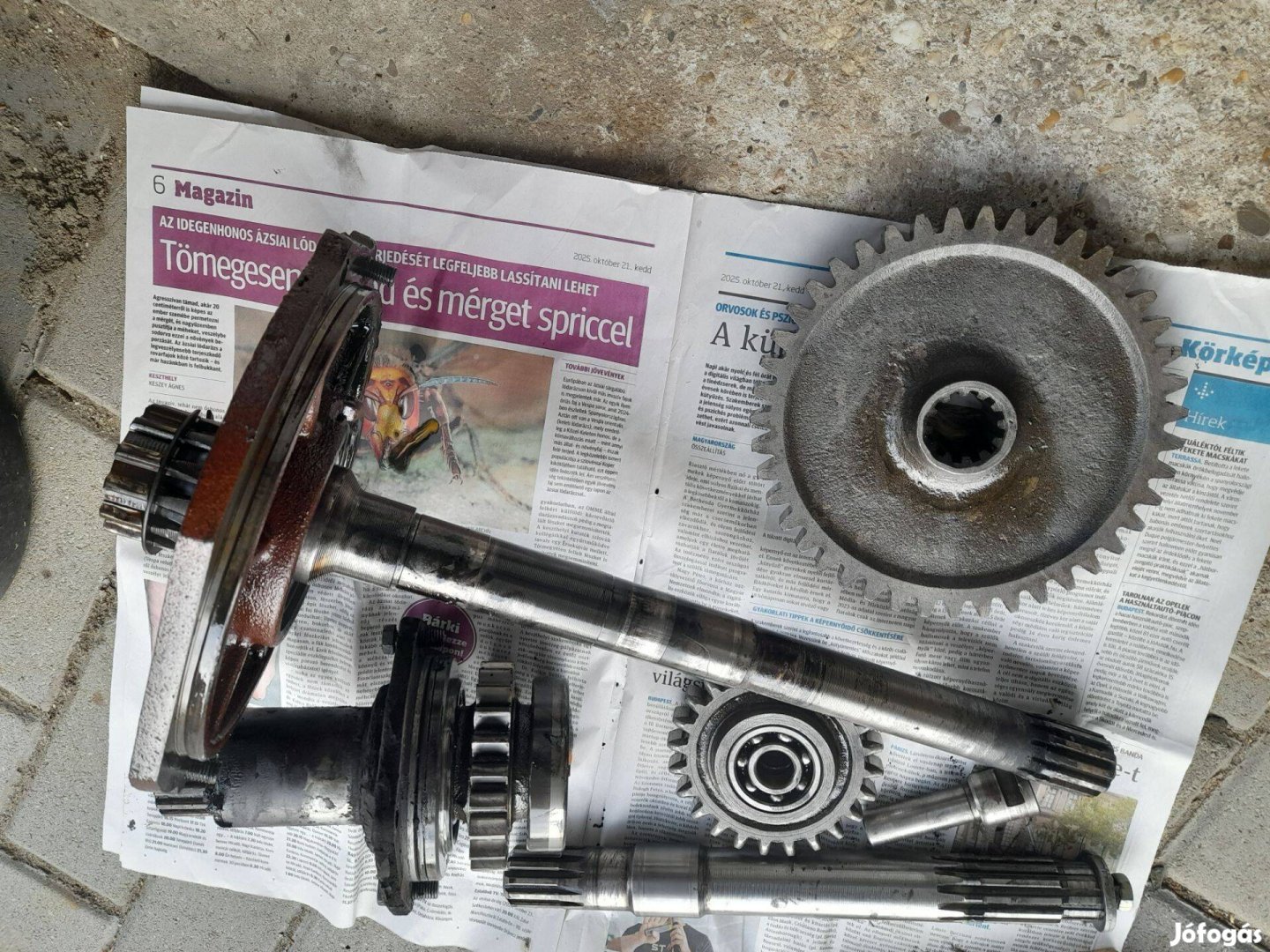 Mtz 550/50es kuplungház komplett belseje eladó Zala megye