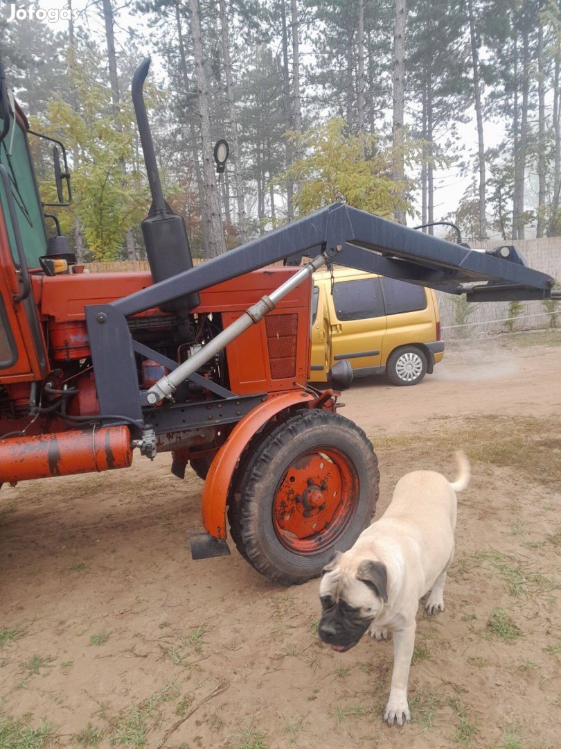 Mtz 550 homlok rakodóval