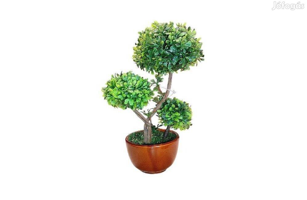 Műanyag Bonsai fa kerámia edényben 19 cm, elegáns lakásdekoráció
