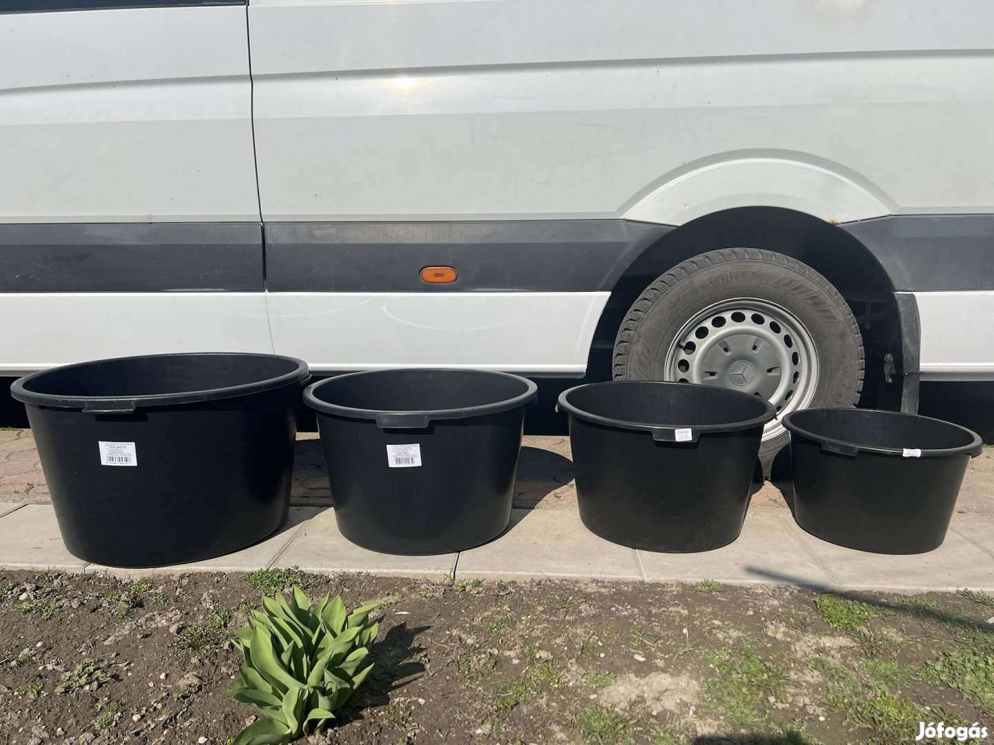 Műanyag, Dézsa, ültető, cserép, növény, konténer, leander