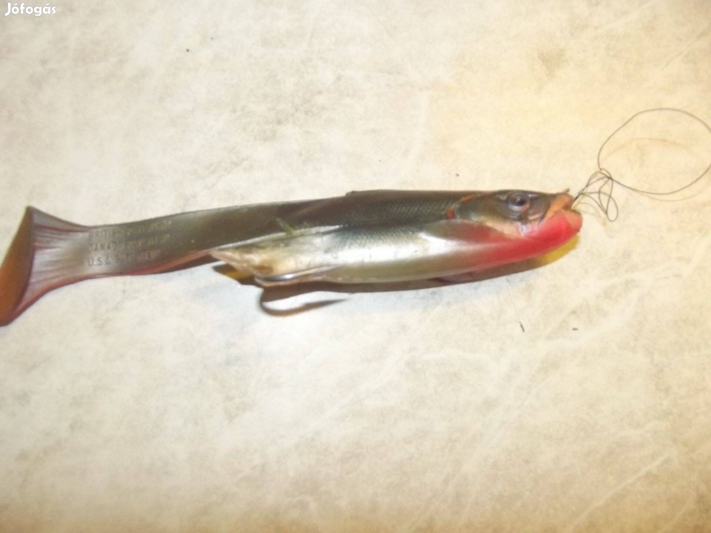 Műcsali Red gill mevagissey cornwall régi jó állapotú gumihal usa gyü