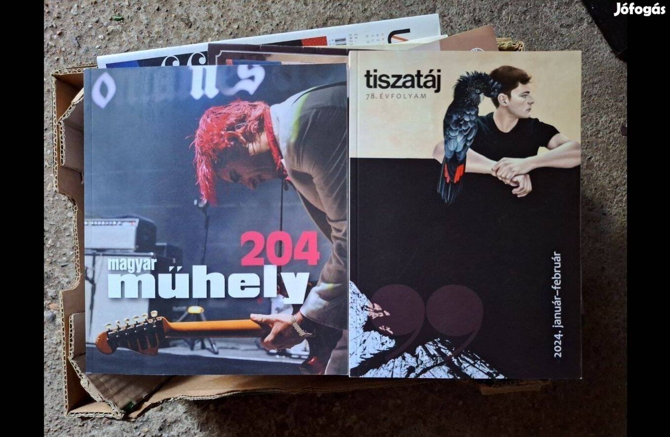 Műhely, Pannon tükör, Bárka, Tiszatáj kulturális magazinok