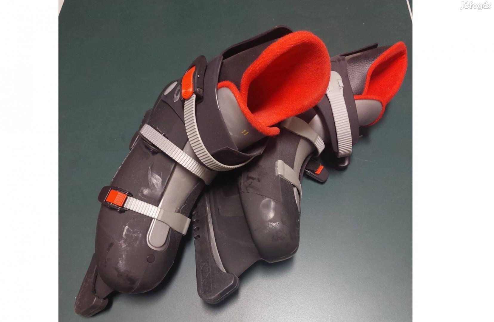 Mükorcsolya élédővel és táskával