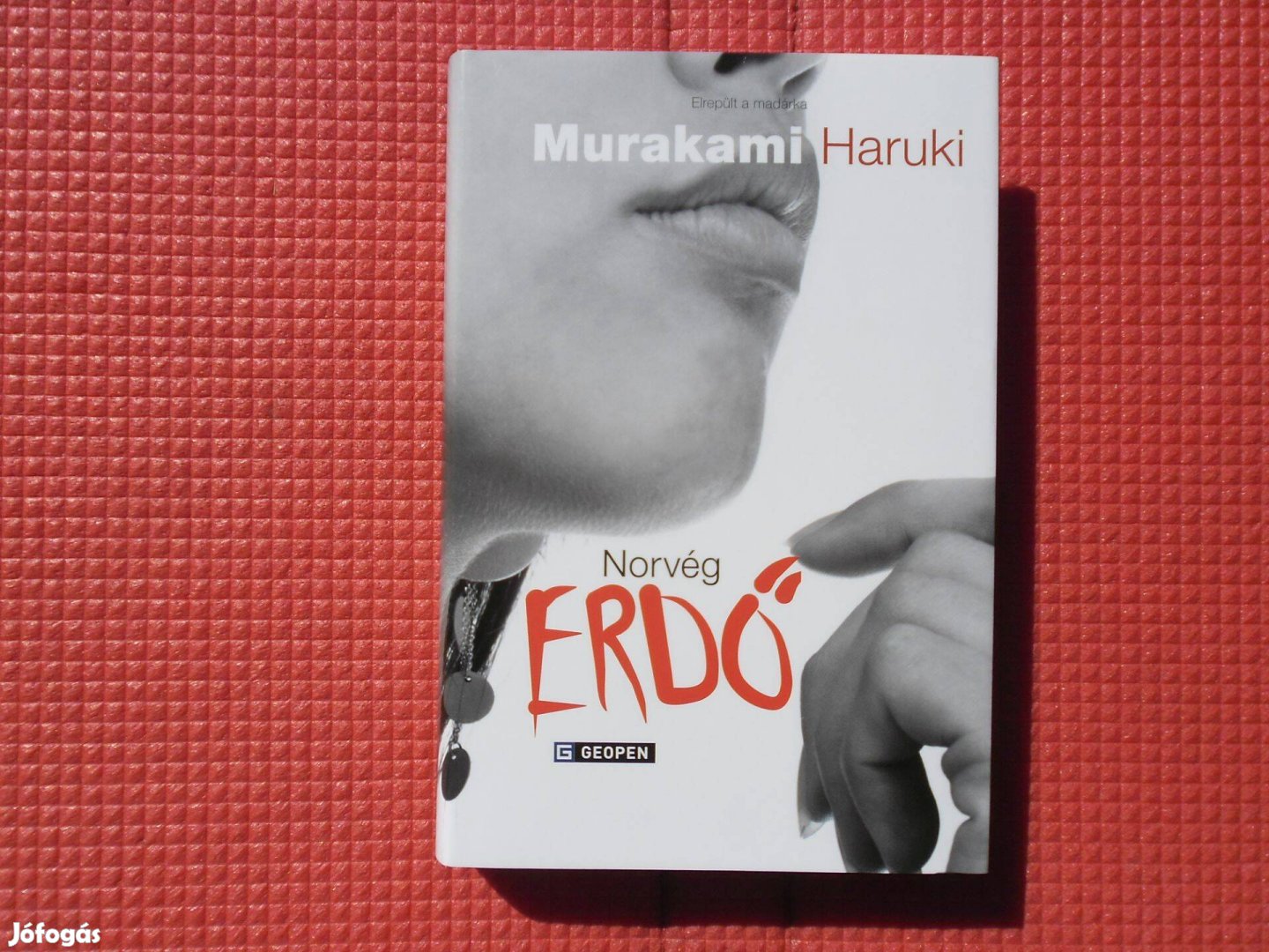 Murakami Haruki: Norvég erdő