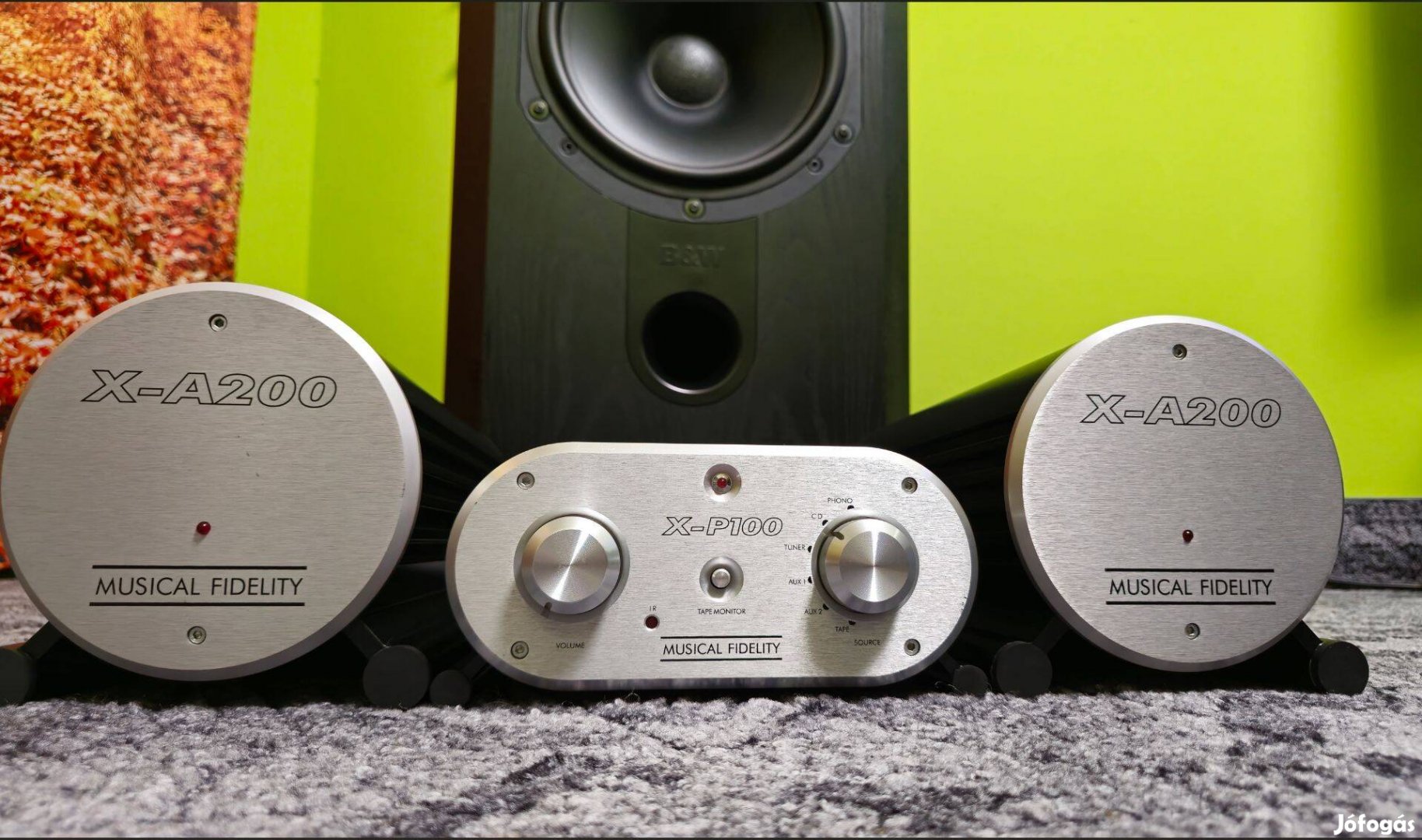 Musical Fidelity X-P100 /X-A200 páros