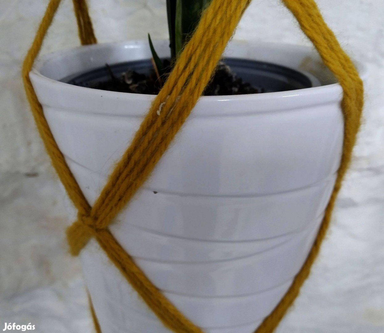 Mustársárga virágtartó függőkosár 120 cm 20260404