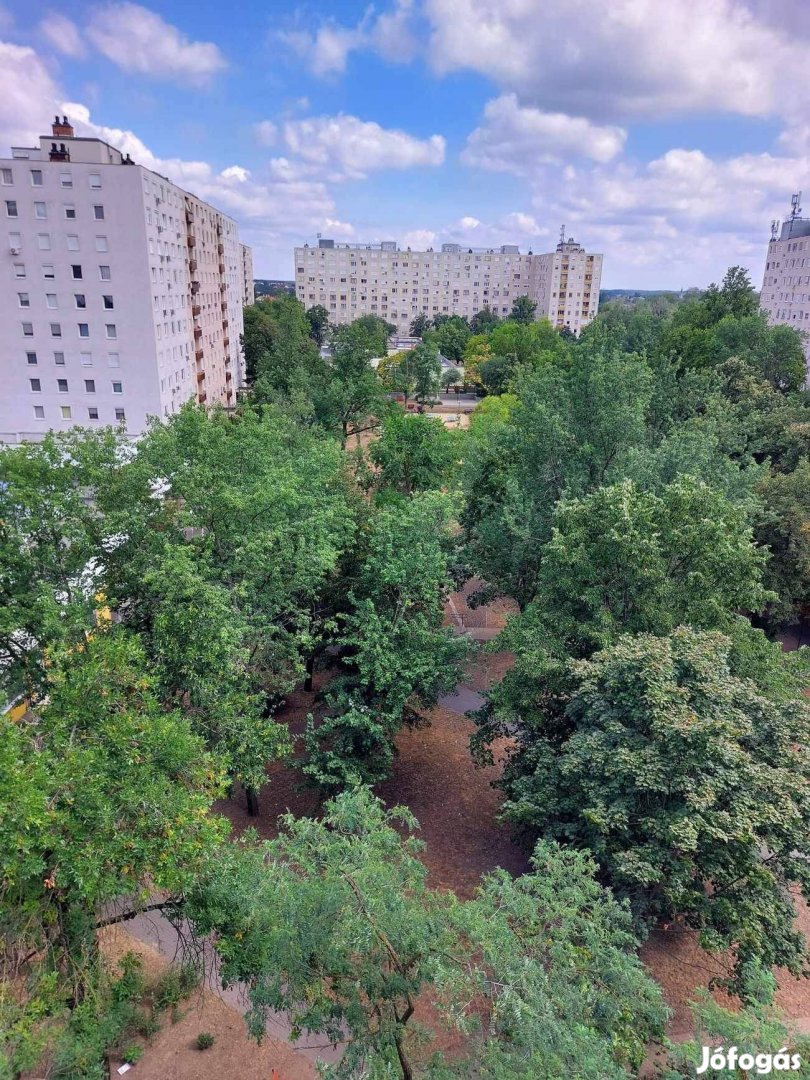 Műszaki főiskola közelében 1+2 félszobás, bútorozott, gépesített lakás