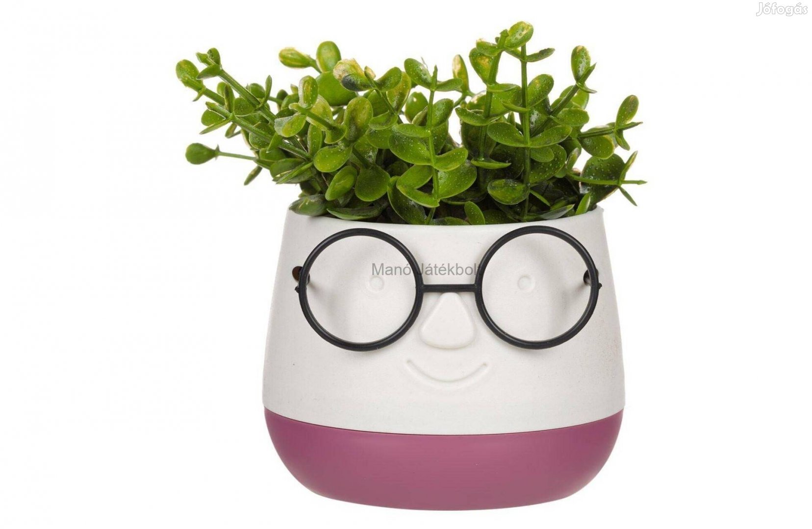 Művirág lila kaspóban vicces szemüveggel 9,5x9,5x14 cm