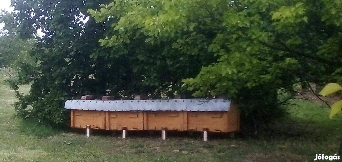 NB kereten méhek eladók