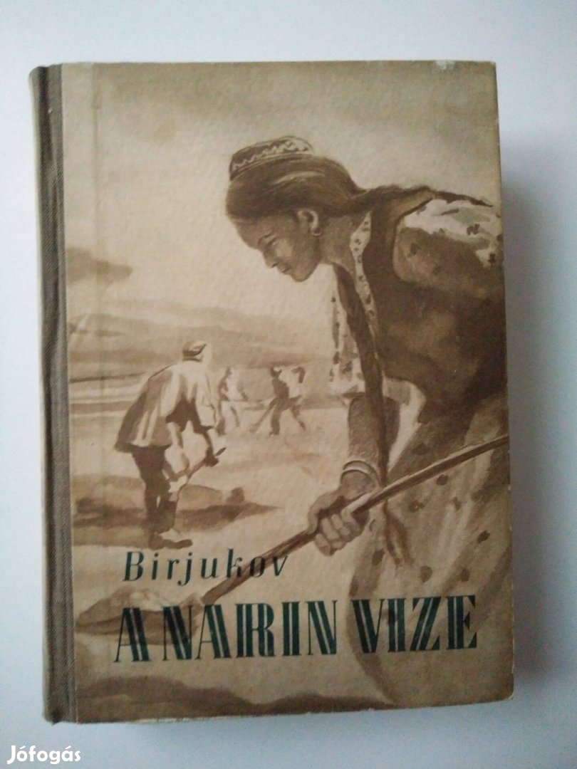 N. Birjukov - A Narin vize