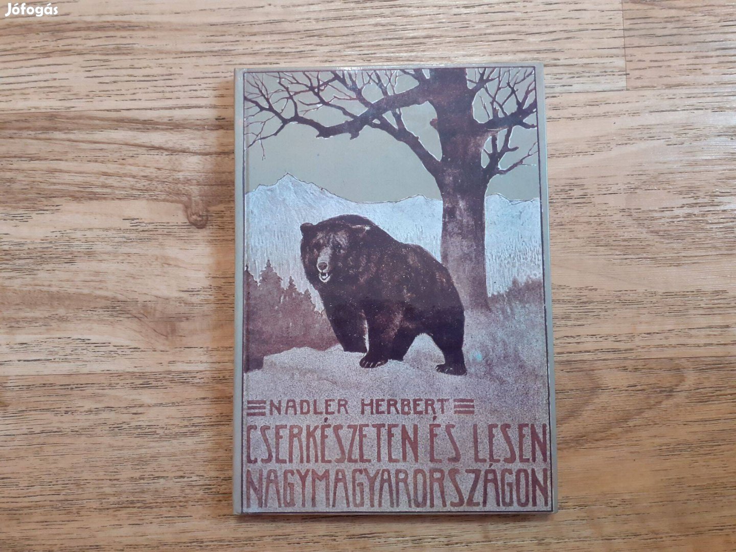 Nadler Herbert Cserkészeten és lesen Nagymagyarországon