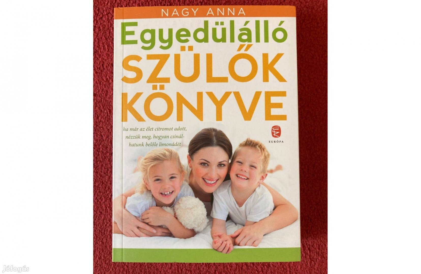 Nagy Anna Egyedülálló szülők könyve