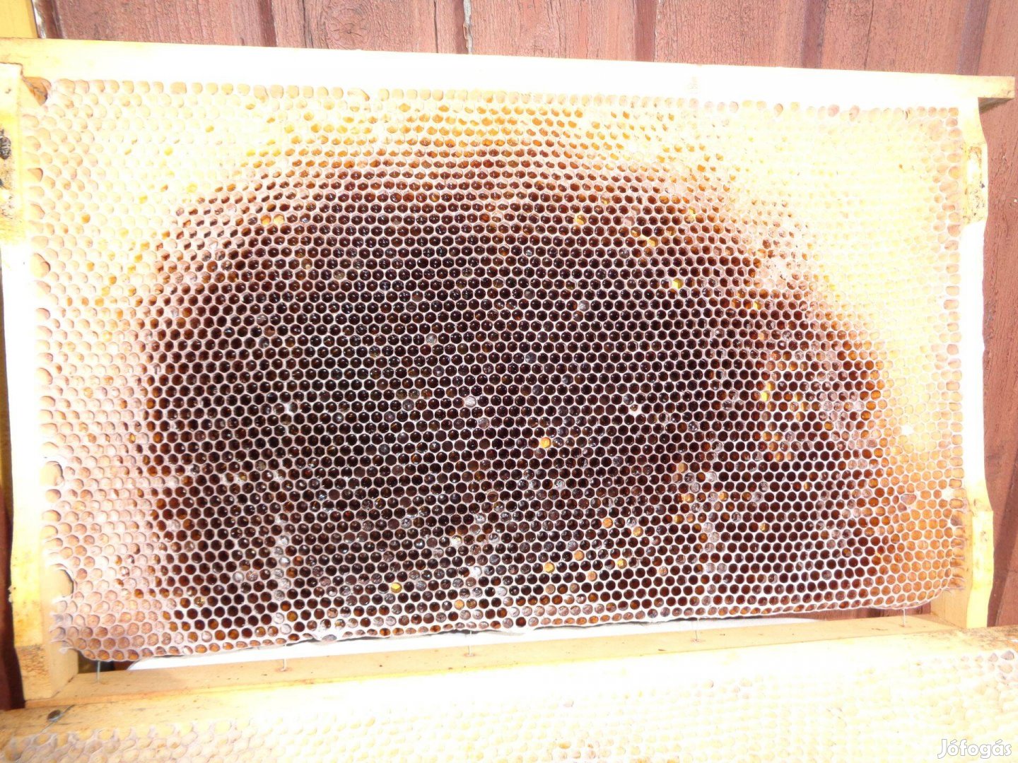 Nagy Boconádi kiépített méhész műlépés keret eladó !