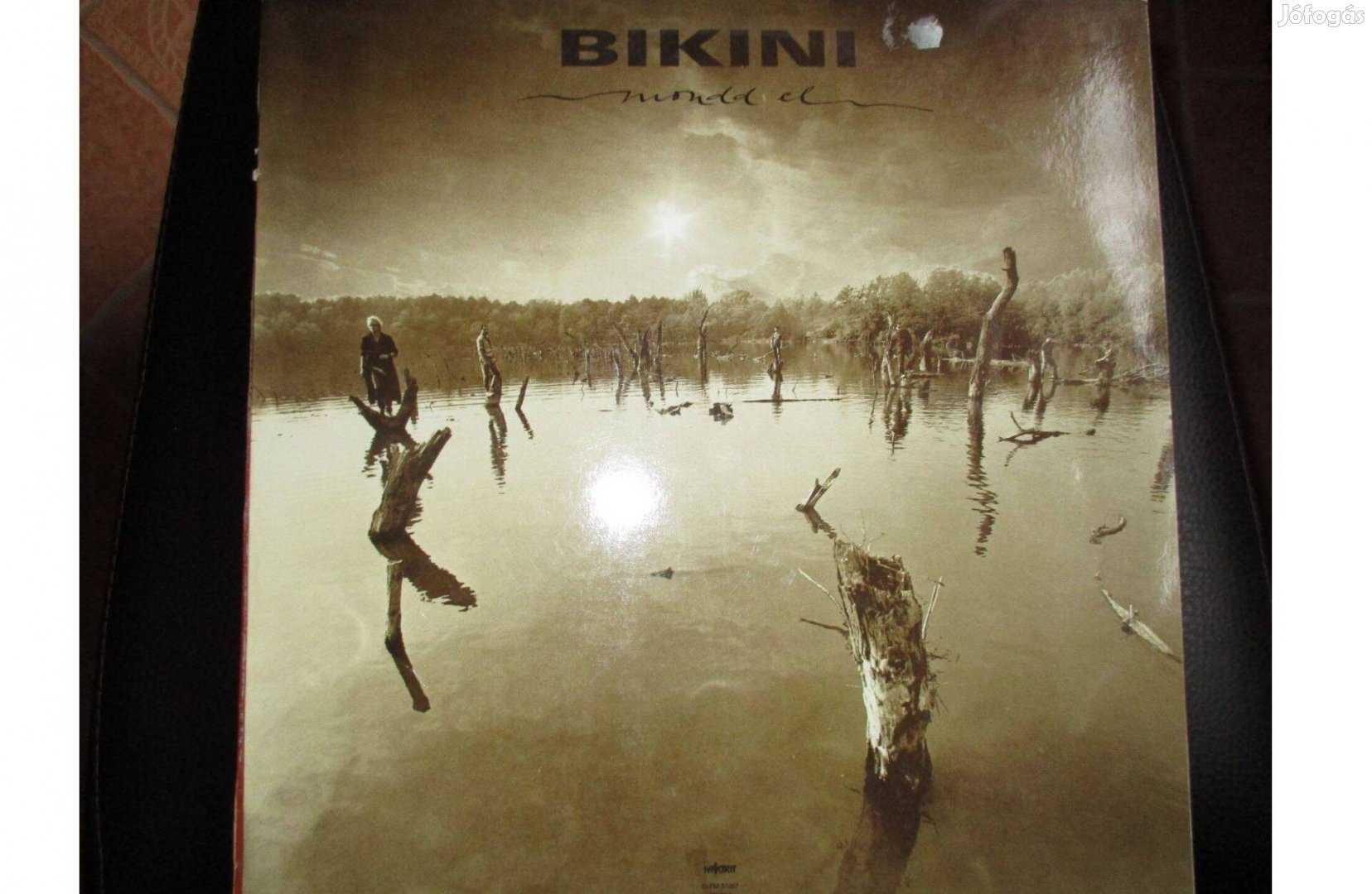 Nagy Feró és Bikini vinyl hanglemezek eladók