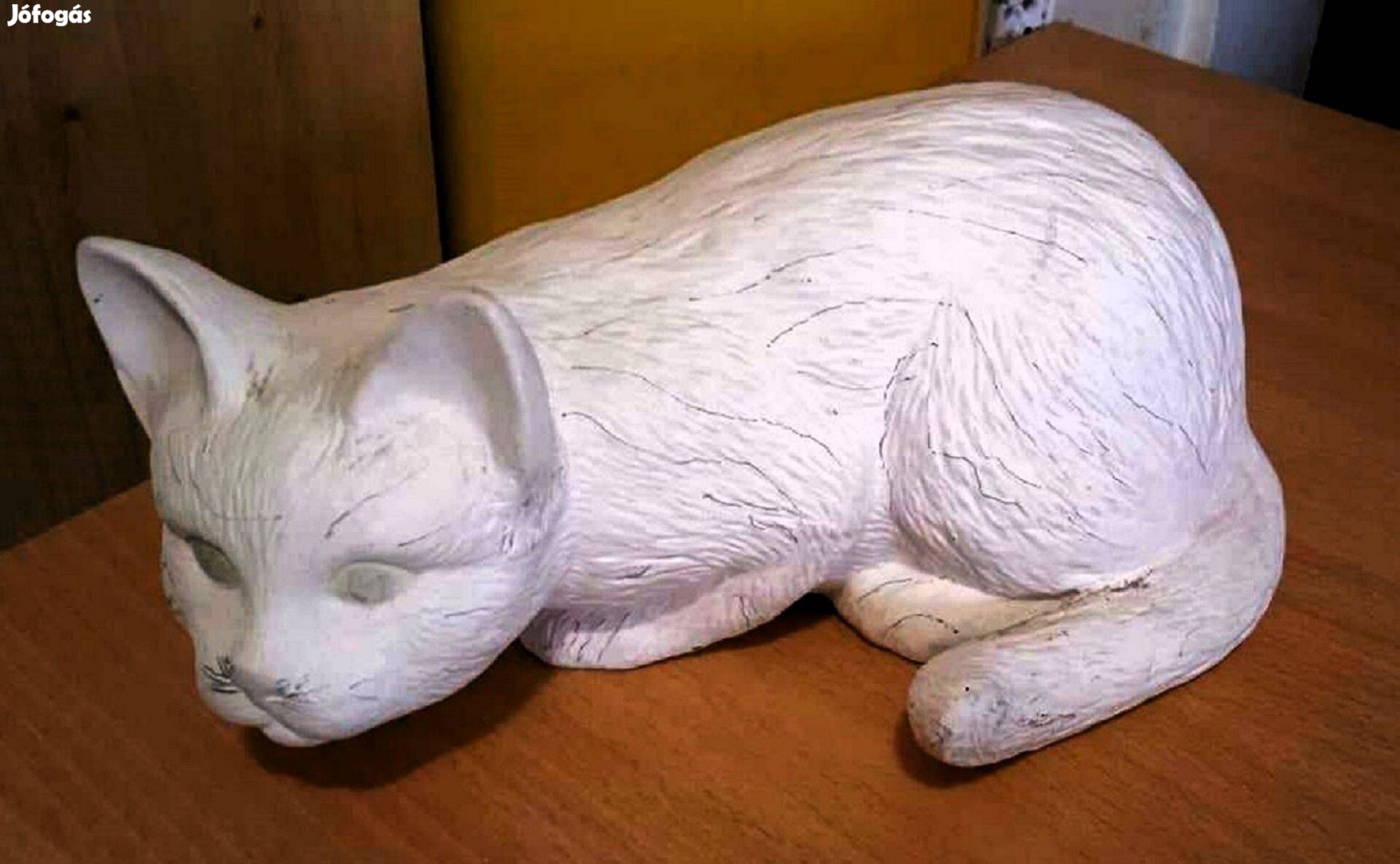 Nagy, 25 cm hosszú vadászó macska, biszkvit