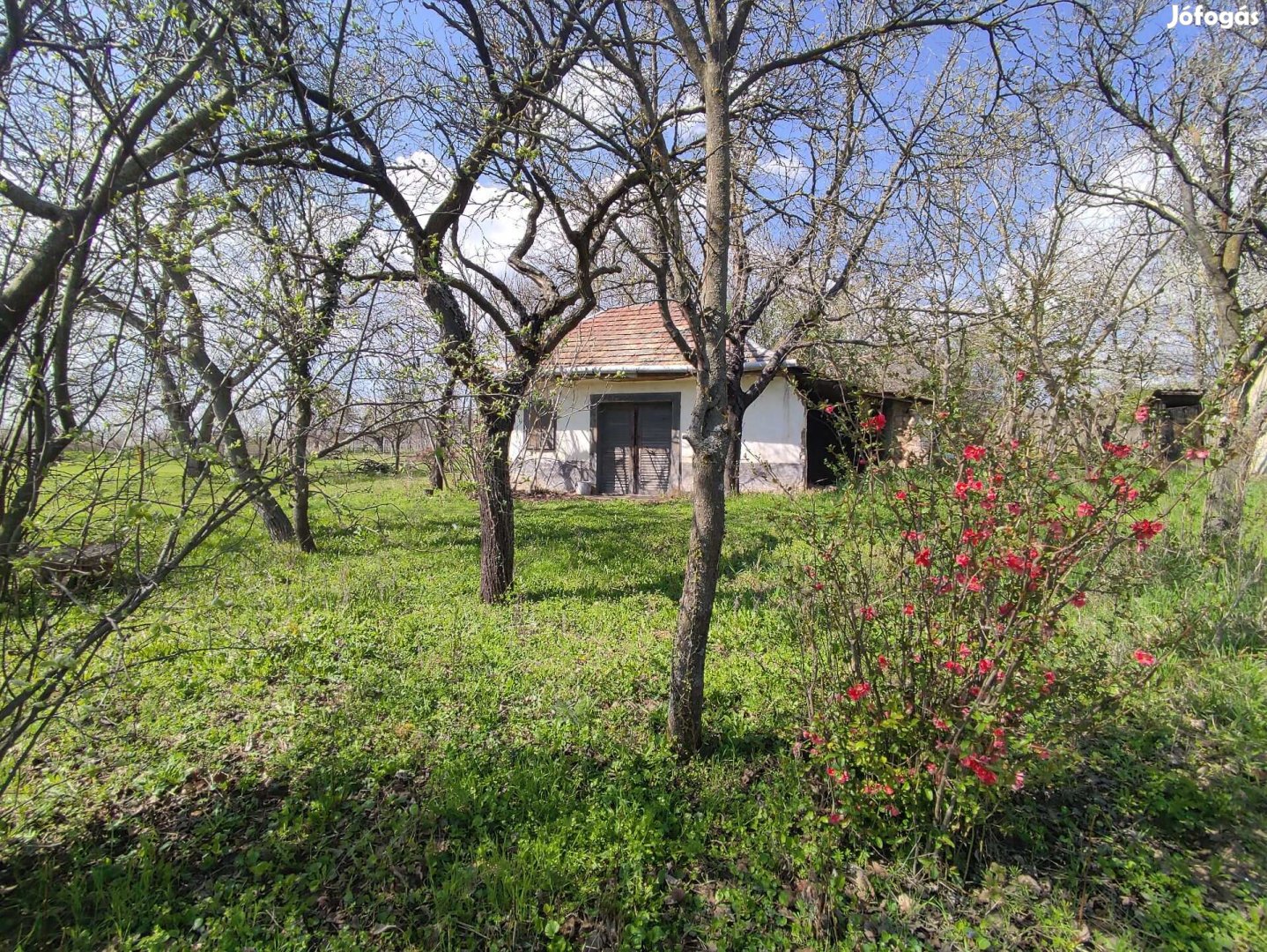Nagy, széles, panorámás telek, fantáziadús nagy présház - Eladó!
