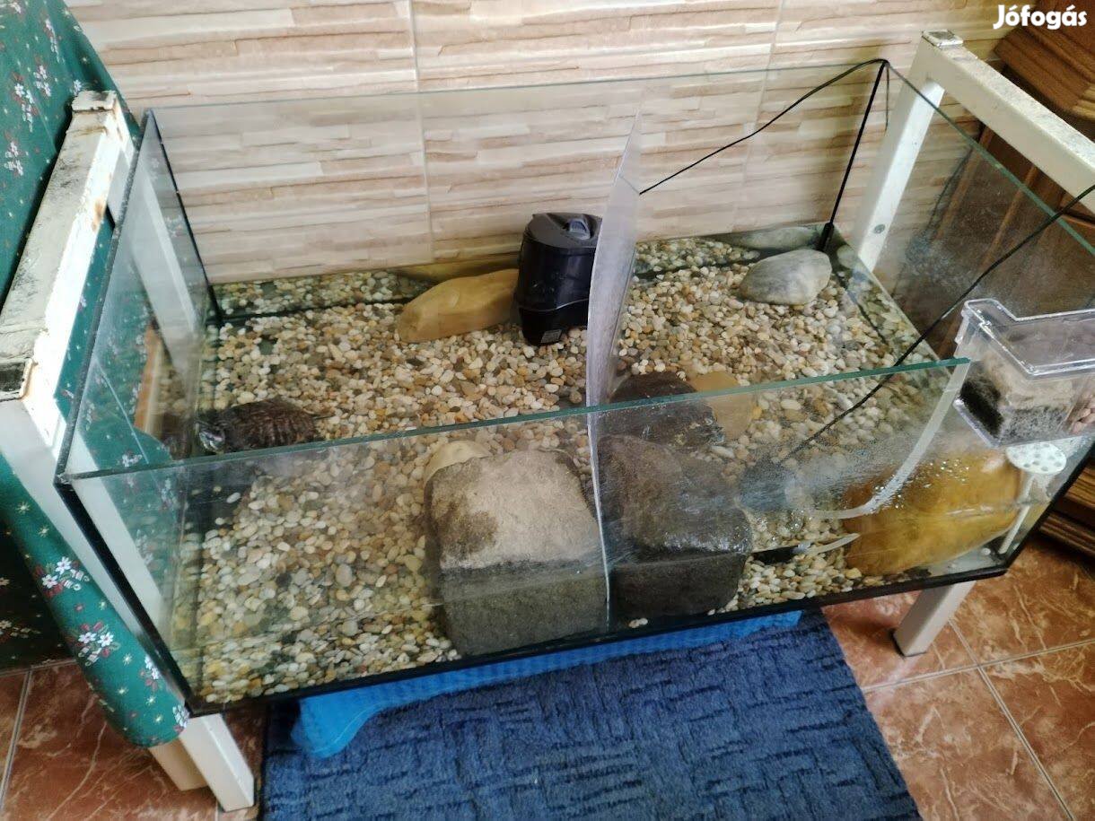 Nagy akvárium 60X100