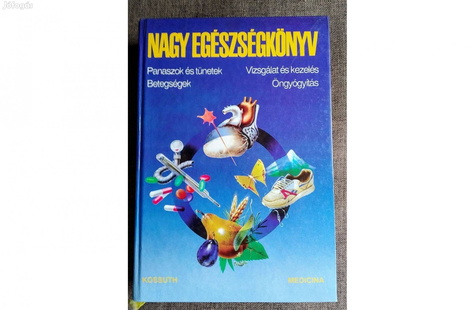 Nagy egészségkönyv (Panaszok és tünetek, betegségek, vizsgálat és keze