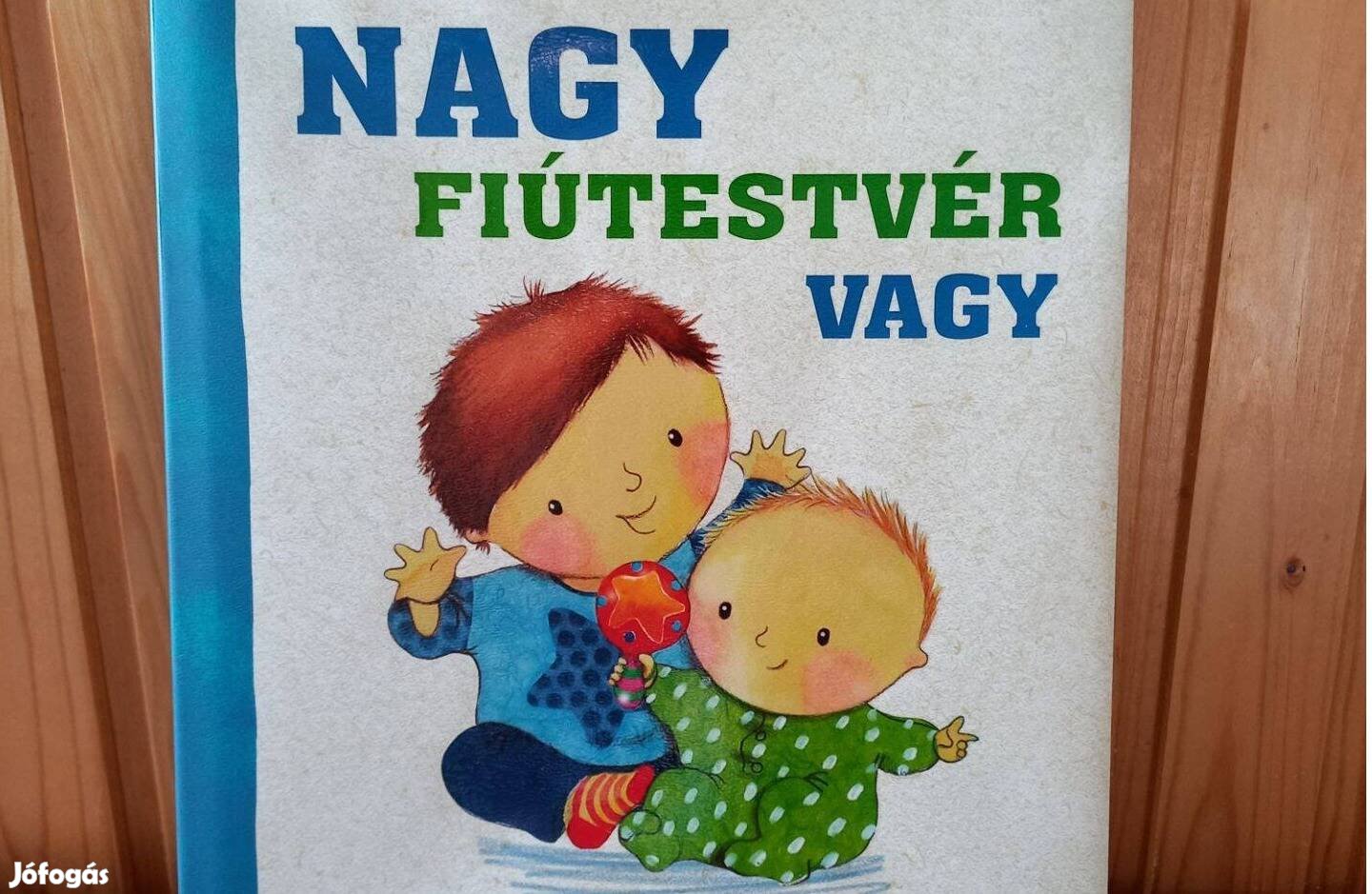 Nagy fiútestvér vagy (új könyv)