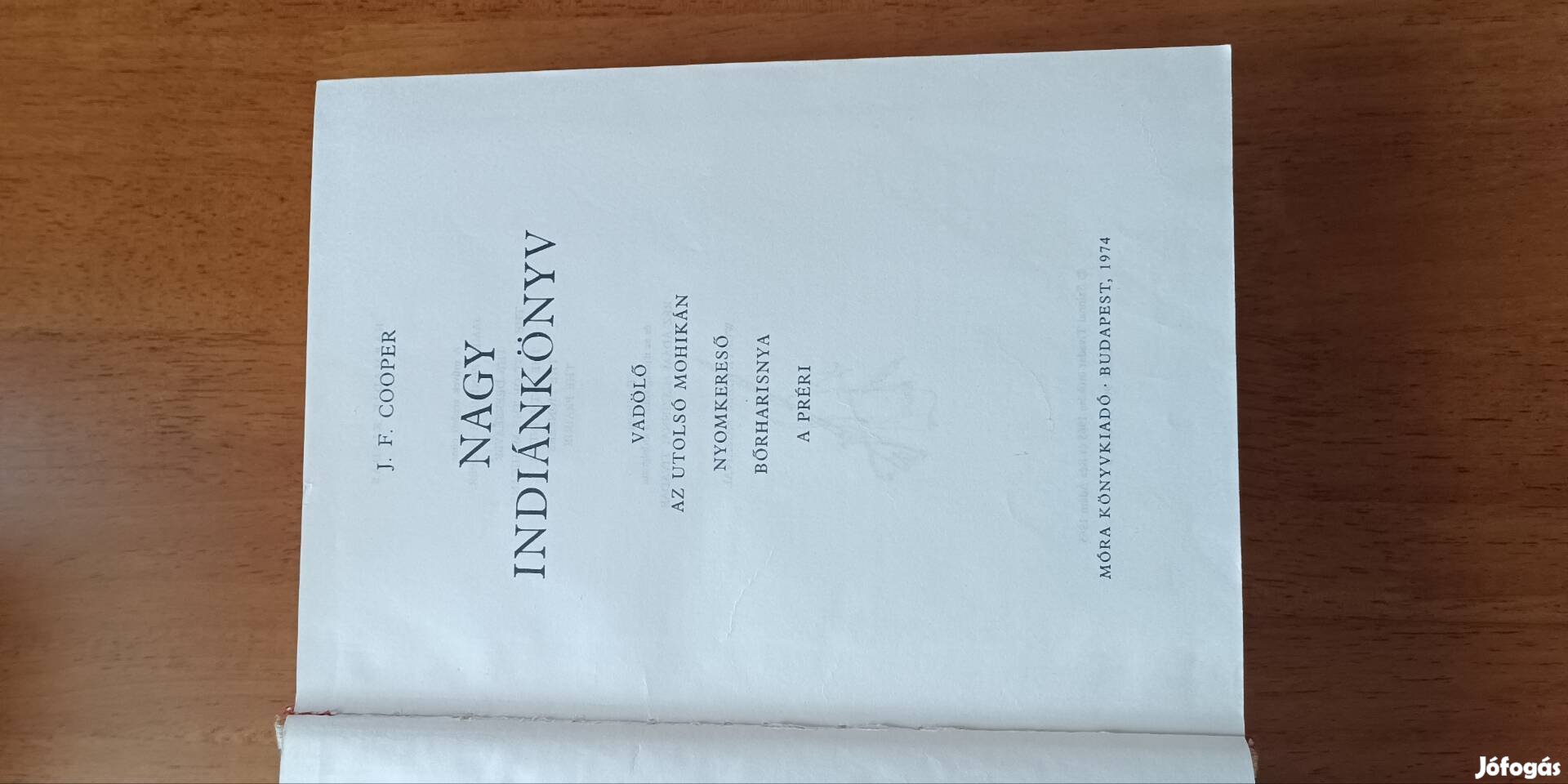 Nagy indiánkönyv
