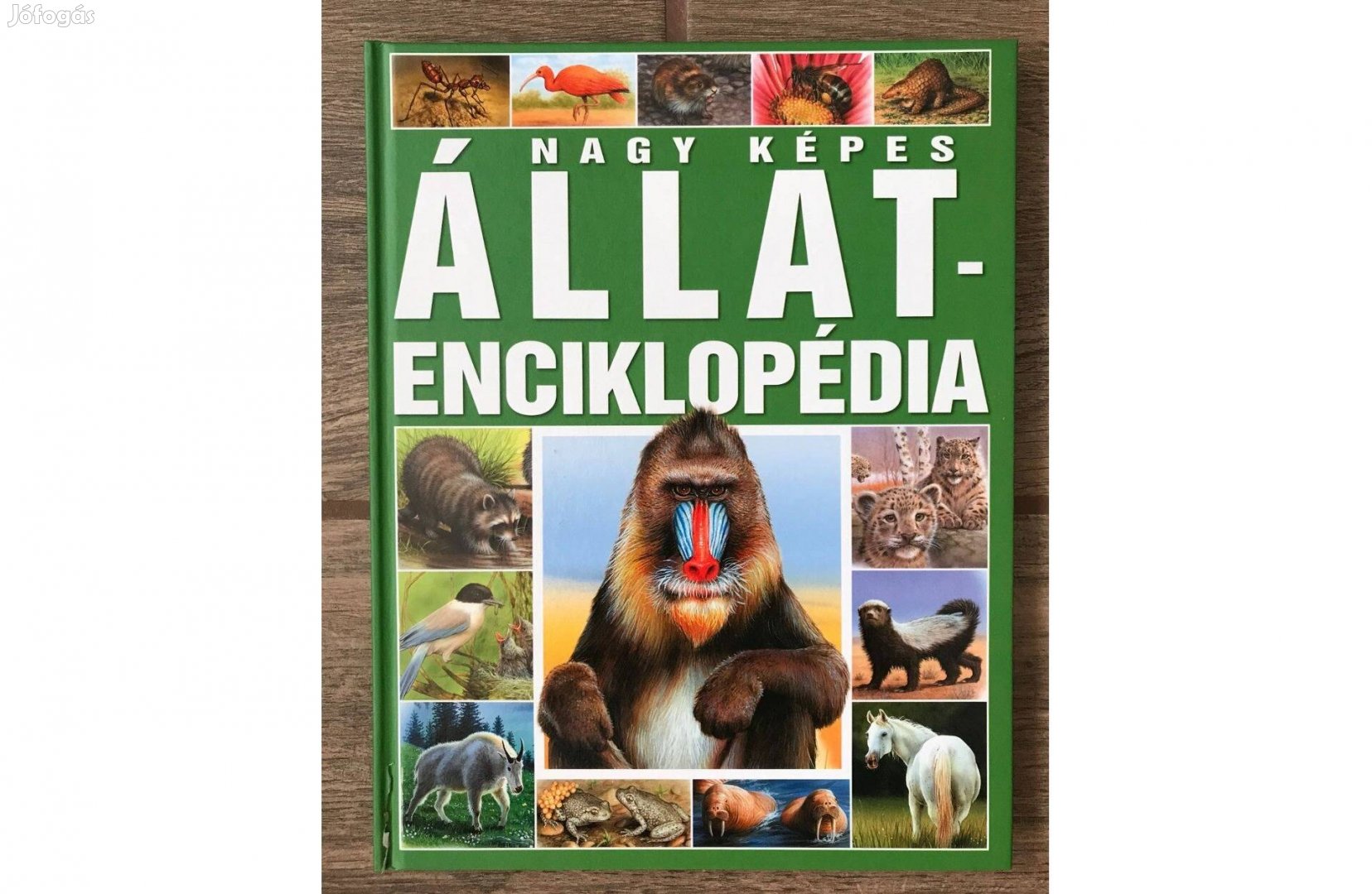 Nagy képes állatenciklopédia